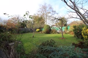 Photo 13- click for photo gallery